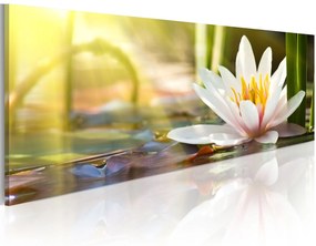 Печат върху платно - Lotus 'Glow 150x50