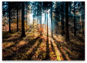 Картина Glasspik , 70 x 100 cm Autumn Sunset - Styler