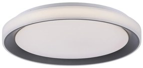 Leuchten Direkt 14659-18 - LED RGB Димируема лампа LOLA LED/24W/230V + д.у.