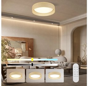 Immax NEO 07289L - LED+CCT димируемо таванно осветително тяло LONA 36W/230V Ø 45,5 см + дистанционно управление