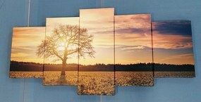 картини от 5 части – Самотно дърво