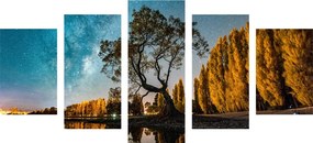 картини от 5 части – Дърво под звездното небе