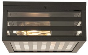 Модерна външна таванна лампа черно стъкло 2-светлина IP44 - Reims