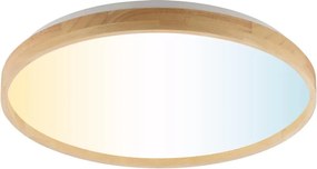 Brilliant - LED димируемо таванно осветително тяло ALSON LED/17W/230V бежово + дистанционно управление