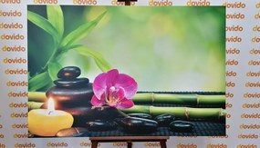 Картина на платно – Фън Шуй хармония