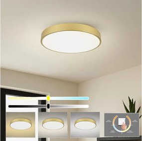 Brilagi - LED таванно осветително тяло POOL LED/60W/230V 3000/4500/6000K Ø 60 см, златисто