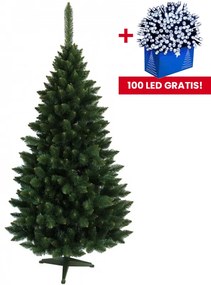 Коледна елха Хималайски бор 220 см