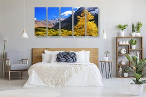 картини от 5 части – Великолепна природа на Камчатка в Русия