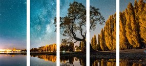 картини от 5 части – Дърво под звездно небе