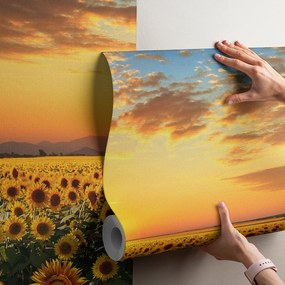Фототапет слънчогледи