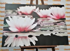 Картина на платно – Лотосов цвят