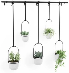 Пластмасови стенни/висящи кашпи в комплект от 5 бр. за билки ø 7,5 cm Triflora – Umbra