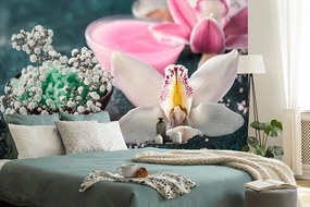 Фототапет – Прекрасна детайлна орхидея