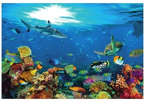 Фототапет – Подводен свят