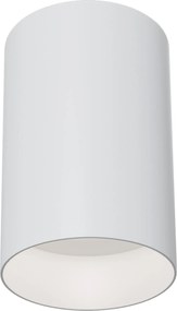 Maytoni Плафониера - C014CL-01W