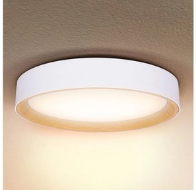 Brilagi -LED Димируема лампа LARIOS LED/48W/230V 3000-6500K ø 39 см бял + д.у.