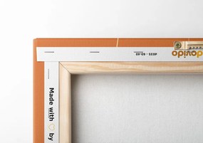 Картина на платно – Игрива котка с кълба