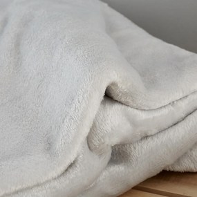 Светлосиво одеяло от микроплюш 130x170 cm Raschel Velvet – Catherine Lansfield