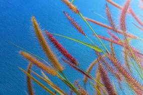 Картина на платно – Дива трева под синьо небе