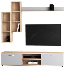 Секция Леда