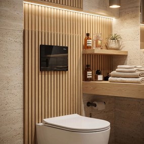 Комплект Структура за Вграждане за WC Slim 024N с Бутон T Black Glass