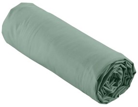 Зелен еластичен чаршаф от памук перкал 160x200 cm Percaline – douceur d'intérieur