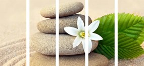 картини от 5 части – Бял цвят и камъни в пясък