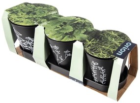 Метални саксии за билки в комплект от 3 бр. ø 11 cm Black – Orion