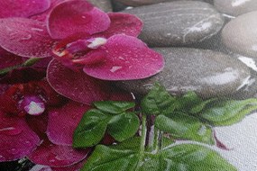 Картина на платно – Цъфтяща орхидея и уелнес камъни
