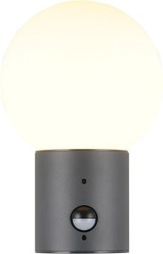 Стенно външно осветително тяло със сензор за движение ø 18 cm Mures – Trio