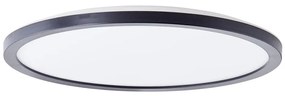 Brilliant - LED таванно осветително тяло MILTON LED/18W/230V Ø 29,3 см черно
