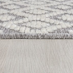 Сив килим от шенил подходящ за пране 80x160 cm Jhansi – Flair Rugs