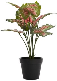 Изкуствено растение (височина 40 cm) Caladium – Light &amp; Living