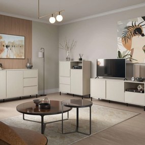 Холна секция Anel