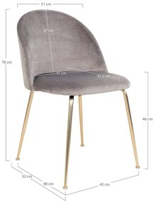 Светлосиви кадифени трапезни столове в комплект от 2 броя Geneve - House Nordic