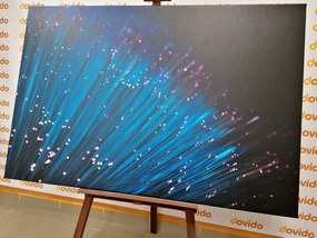 Картина на платно – Оптични влакна