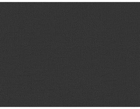 Черно двойно тапицирано легло с място за съхранение с включена подматрачна рамка 200x200 cm Elizabeth – Micadoni