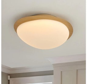 Brilagi - LED таванно осветително тяло VISBY WOOD LED/18W/230V Ø 38 см кафяво