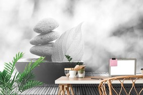 Фототапет – Черно-бели камъни и лист в купа
