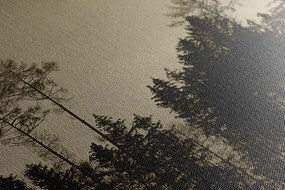 Картина на платно – Сепийна гора