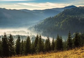 14537 - Фототапет Горски пейзаж