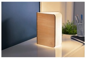 Светлинна декорация с USB в естествен цвят Booklight – Gingko