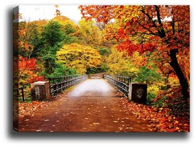 Живопис , 70 x 50 cm Autumn Bridge - Tablo Center