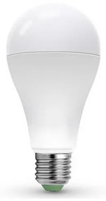 LED Крушка LEDSTAR ECO A65 E27/20W/230V 4000K