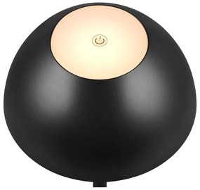 Затъмняващо се външно осветително тяло ø 13,5 cm Ricardo – Trio