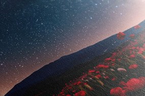 Картина на платно – Ливада с диви макове под звездите