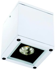 Zambelis E270 - Екстериорен спот 1xGU10/35W/230V IP65 бял