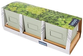 Метални саксии за билки в комплект от 3 бр. Greenish – Orion