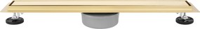 Линеен отводнител REA Neox pro Gold 60