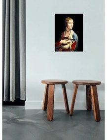 Живопис - репродукция 30x40 cm Lady with an Ermine, Leonardo Da Vinci - Fedkolor